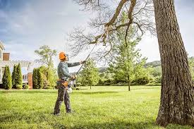 How Our Tree Care Process Works  in  Mustang, OK